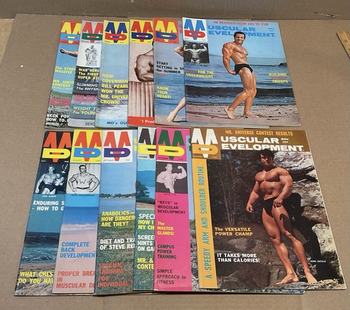 Vintage muscular development - muscular,