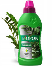 Concime per zamioculcas - concime,