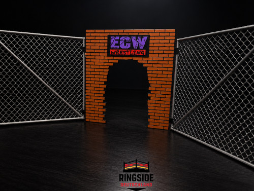 Accessori personaggi wrestling