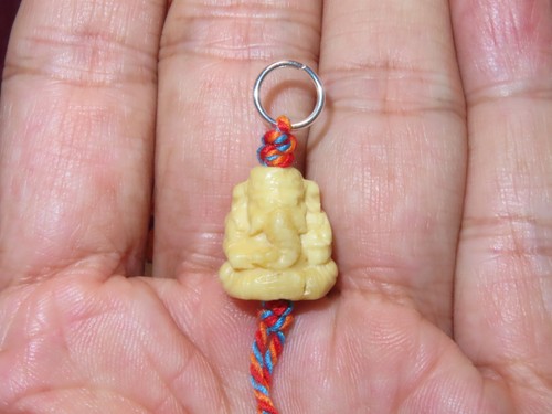 Nepal tibet buddhist yak - buddhist, bone