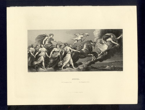 Aurora guido reni - aurora,
