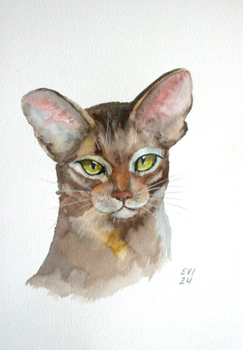Gatto con occhi ambrati