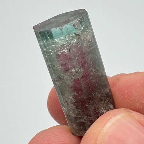 Tourmaline 97 sapo - '97,