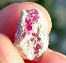 BELLISSIMO GRANDE BERILLO