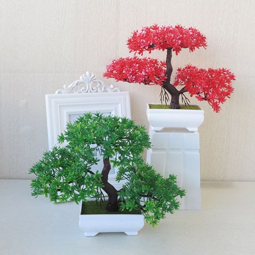 Bonsai cedro artificiale - bonsai,