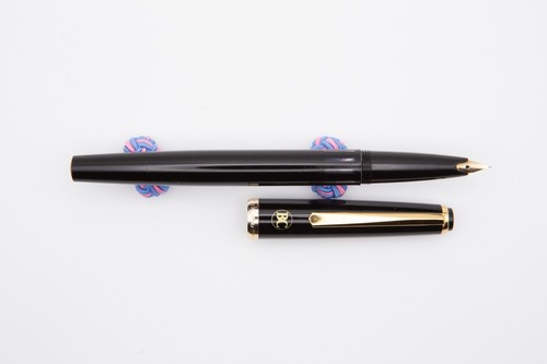 Vintage reform fountain pen - reform,