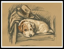 JACK RUSSELL TERRIER ON