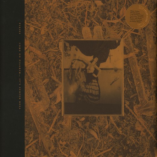 Pixies come pilgrim - -, pilgrim-it's