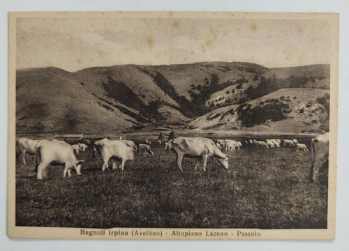 Cartolina avellino bagnoli - cartolina,