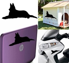 Pastore Tedesco V8, Adesivo In