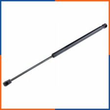 Ammortizzatore portellone per