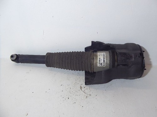 Molla posteriore destra audi - molla,