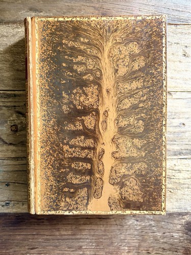 Byron poetical works - byron’s,