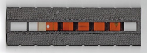 Adattatore pellicola 110 per