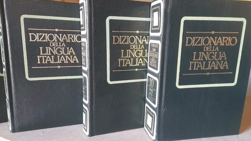 Dizionario della lingua - dizionario,