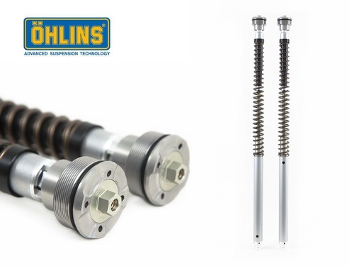 Cartuccia forcella ohlins - forcella,