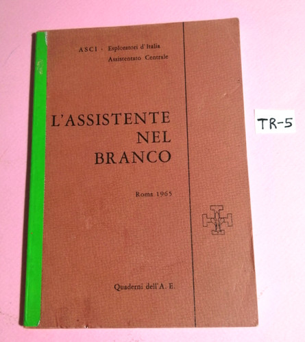 Assistente nel - l'assistente,