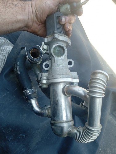 Valvola egr 55219498 - , 500