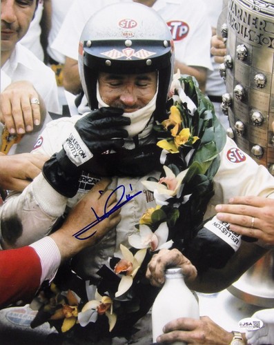 Mario andretti indy car racer - mario,