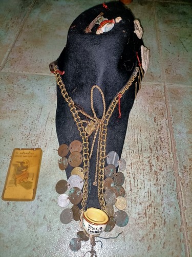 Feluca goliardica - feluca,