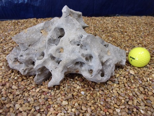 Texas holey rock - 06#,