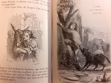 ASINO - ASINI LOTTO TRE LIBRI