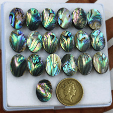 Lotto di 19 pezzi pietre preziose calibrate cabochon ovali abalone naturali d...