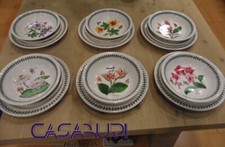 Portmeirion Exotic Botanic