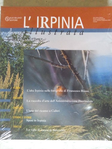 Irpinia illustrata 3 - illustrata, n.3