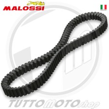 6113590 cinghia malossi k - x,