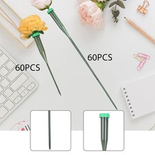 60 tubi per acqua per fiori