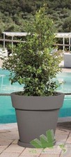 Vaso per fiori piante - per, resina