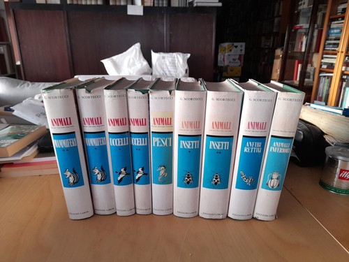 Enciclopedia animali come sono - enciclopedia,