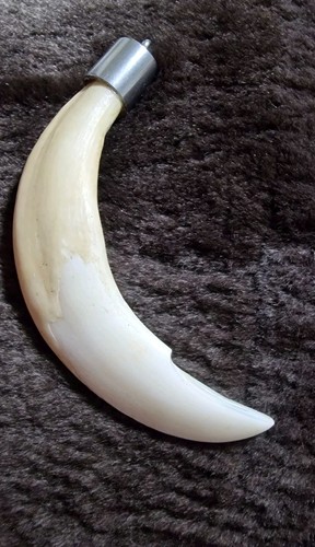 Ciondolo dente - ciondolo,