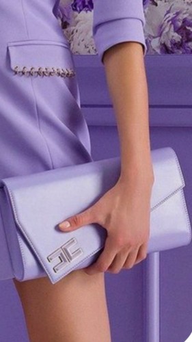 Elisabetta franchi pochette - elisabetta,