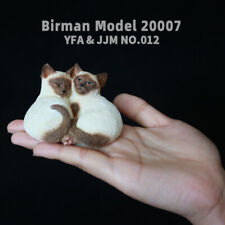 JJM Birman Cat Pet Figure Gattino Felidae Animali Giocattoli Modello Adulto Bambini Regalo Natale