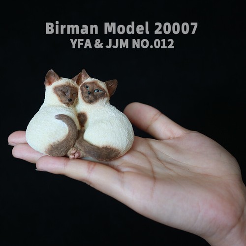 Jjm birman cat - cat, figure