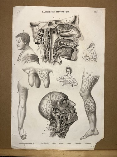 Illustrazione antica 1834