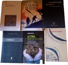 il calzolaio di