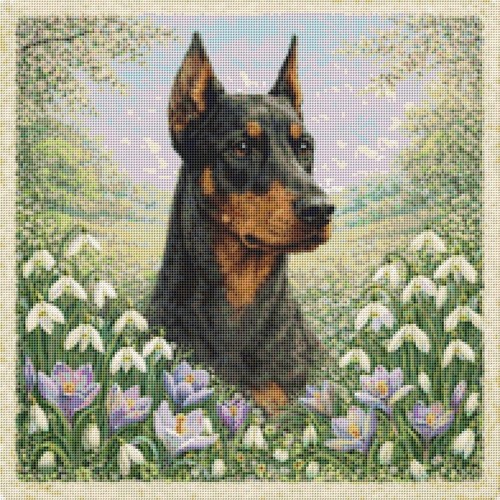 Dobermann cucciolo cane - dobermann, in