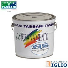 Pittura solvente antiumido - pittura,