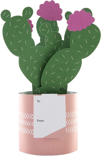 Biglietto pop design cactus - biglietto,
