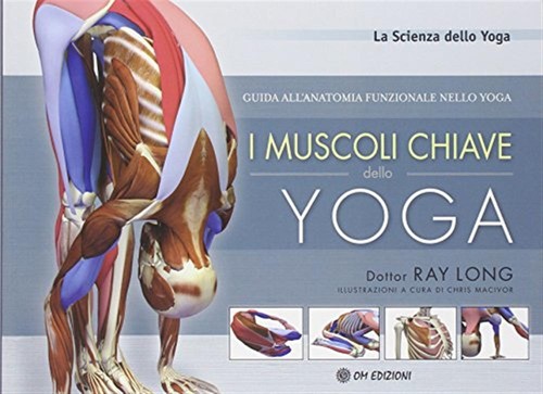 Muscoli chiave dello yoga - muscoli,