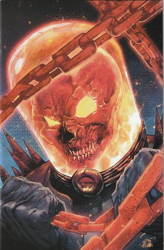 Cosmic ghost rider 1 stegman - cosmic,