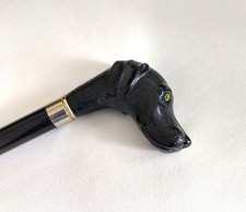 “Scout” Black Labrador