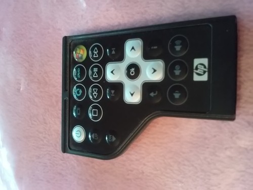 Telecomando portatile