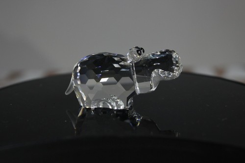 Swarovski ippopotamo piccolo - swarovski,