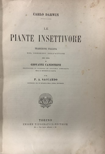 Piante insettivore carlo - piante, insettivore-carlo