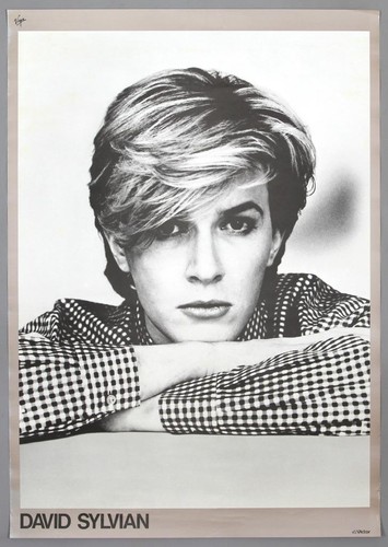 David sylvian raro - david,