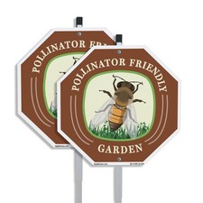 Pollinator Friendly Garden